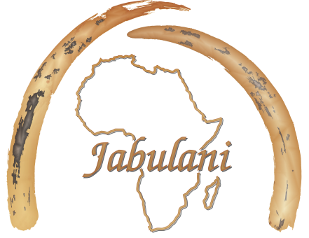 Jabulani Investment Holdigs PTY ( Ltd )